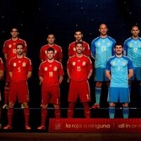 Форма сборной Испании по футболу для ЧМ 2014